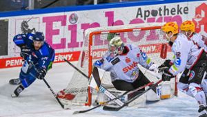 Eishockey: Straubing holt Eishockey-Profi Leier zurück